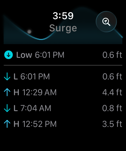 Upcoming tides on Apple Watch